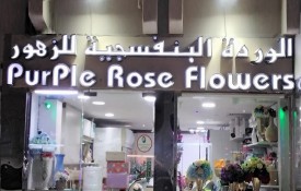 Purple Rose Flowers